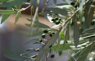 CASA CUORE Modern stay near the sea - Foto 18