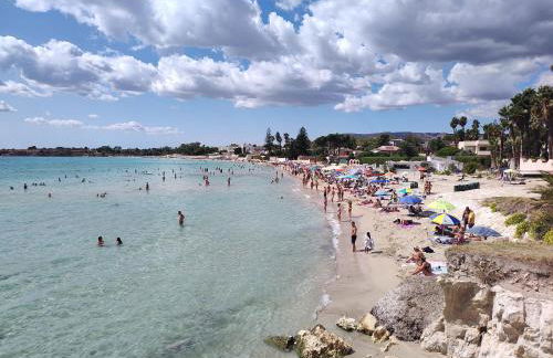 Endless Summer - Photo 4