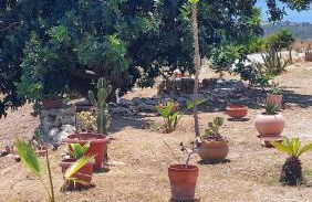 Casa Palombara - Healiday in Torre Salsa - Foto 73