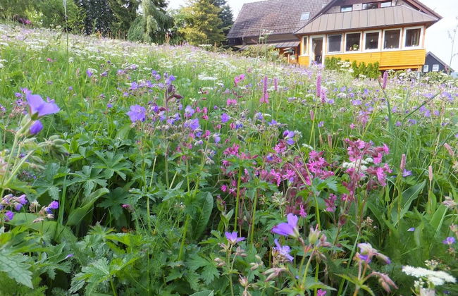 Landhaus Fischer - Foto 43