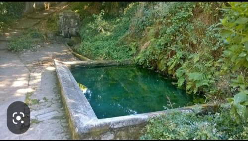 PISO DEL PARQUE 2 - Foto 4