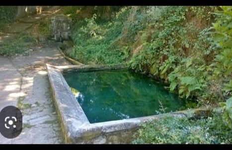 PISO DEL PARQUE 2 - Foto 4