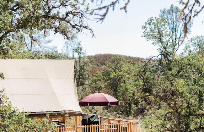 Huttopia Wine Country - Foto 68