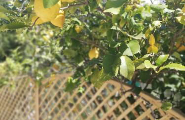 Foinikounta view - Photo 28