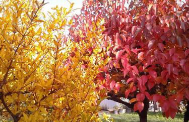 Residenza Gavioli Via Angelelli - Parco Navile - Photo 18