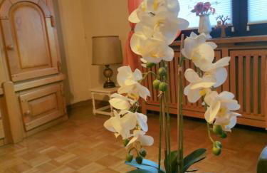 Fewo in Weierbach bei Idar-Oberstein - Foto 13