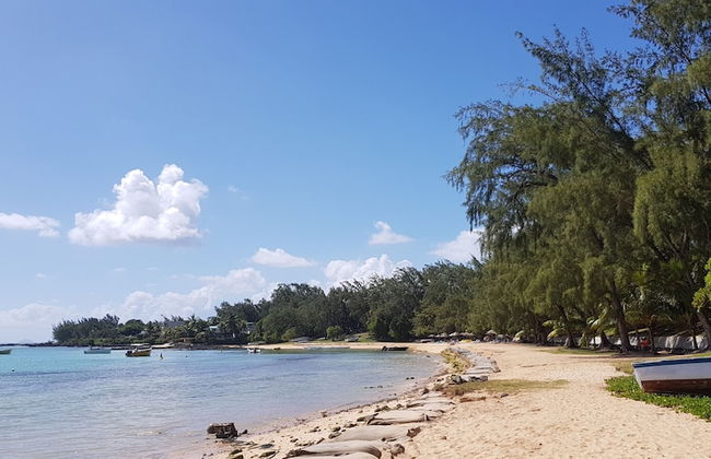 Allamanda Studios and Apartments - Photo 49