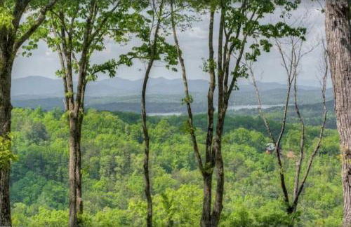 Sky High Lodge - Blue Ridge - Foto 8