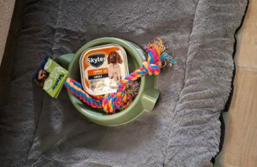 Appartement de charme plein centre - Foto 18