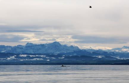 Ferienhof Haas - Foto 18