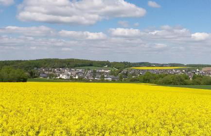 Ferienhaus am Flaumbach - Foto 29