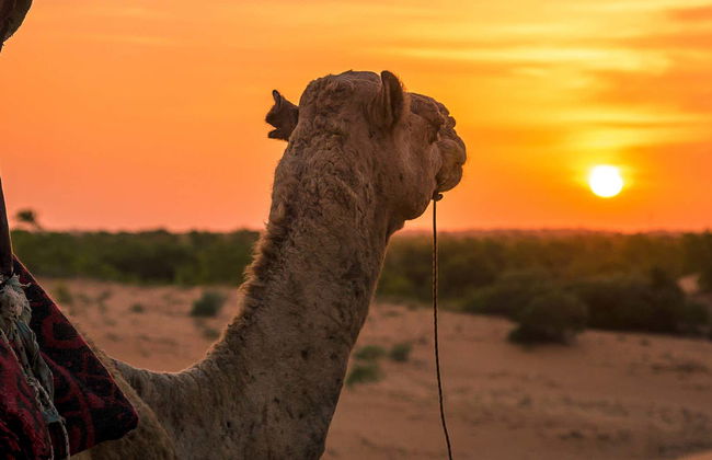 Deserto di Lompoul e delta dei fiumi Senegal e Salum in 10 giorni - Foto 3
