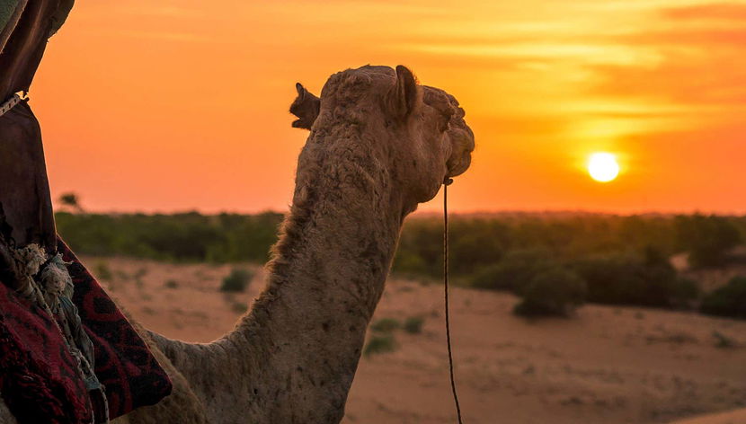 Désert de Lompoul et deltas des fleuves Sénégal et Salum en 10 jours