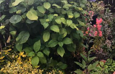 PondeROSEa Cottage Free Gated Parking M1 & City location, wood stove - Foto 3