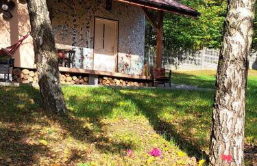 Brzozowy Zakątek - Foto 12