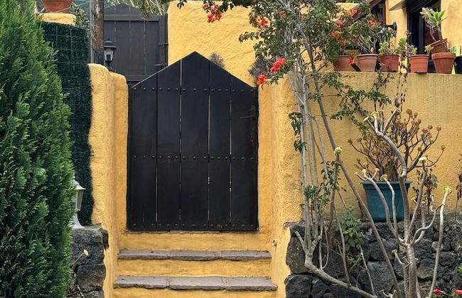 Oasis Hill Botanical Garden - Foto 36