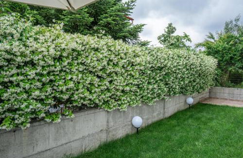 Veria Panorama Luxury Suite with Garden 2 - Photo 27