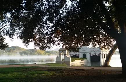 El racó del Puig - Foto 48