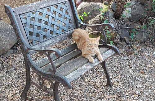 Villa Anna - Foto 18