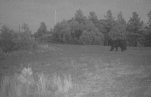 Old Raton Pass Base Camp Cabin with Loft Northern New Mexico Mountain Ranch on Colorado Border cabin - Foto 39