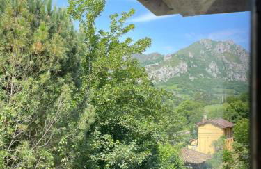 La Naranxa - Foto 60