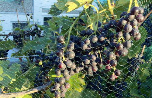 Ferienwohnung Dettum - Foto 82