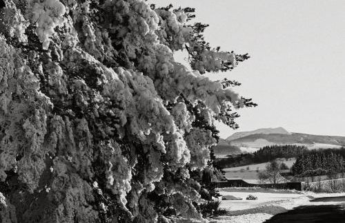 Grande ferme de 250m2 rénovée au charme rustique - Foto 45