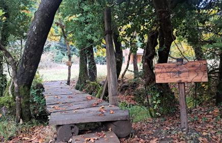 Wood Cabins by the River - for Nature Lovers - Photo 63