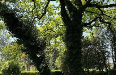 Historic Manor With Pool In Quercy - Foto 33