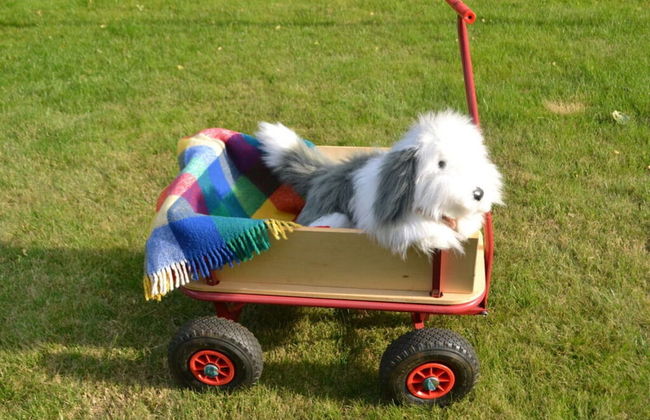 Holiday Home Vogelsang - Foto 15