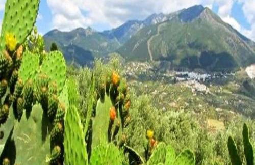 Hacienda Sol Trapiche - Foto 39