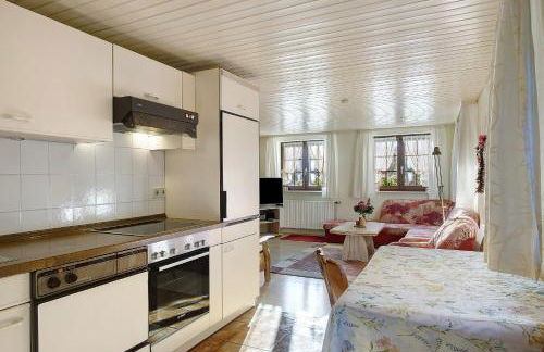 Haus Steinhäusle - 2 fewos - Photo 7