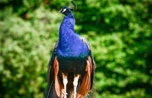 BioAgriturismo Vegan Campo di Cielo - Photo 120