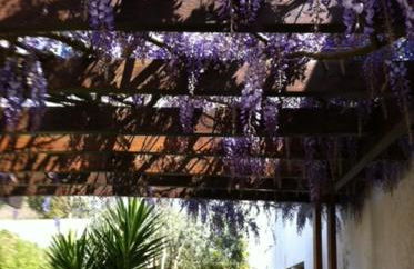 Moradia próxima da praia do Areinho, na Ria, e praia dos Marretas - Foto 45