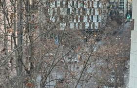 Petit Rosselló - Foto 34