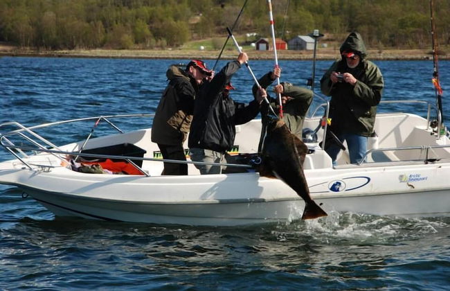 Arctic Seasport - Foto 59