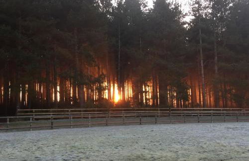 Nightingale Lodge - Adults Only - Foto 7