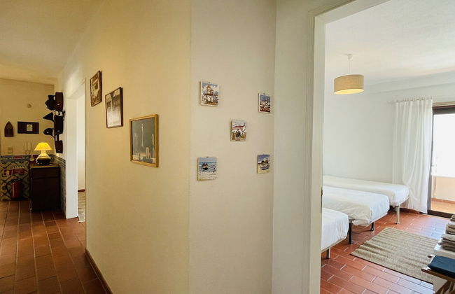 Medronheira CIP - Foto 5