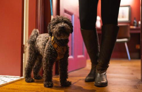 Huntly House - A Residence Like No Other - Foto 10