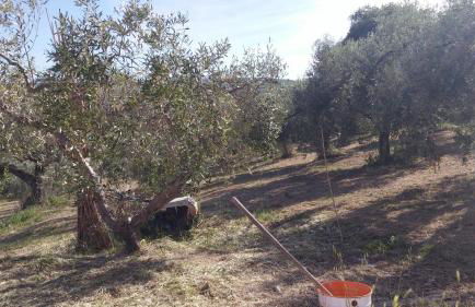 Domus Quarticelli Costa dei Trabocchi - Foto 64