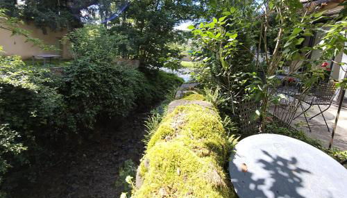 RiverRun - Photo 5, Garden