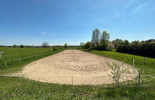 Stajnia Lipowo 45 - Foto 59