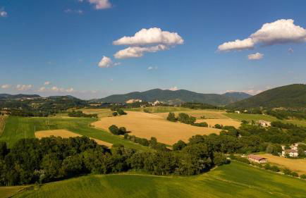 Agriturismo Podere Coldifico - Foto 19