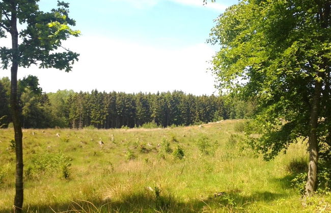 Seaside Idyll in Svaneke - By Traum Ferienwohnungen - Foto 3