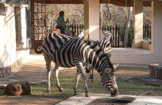 Kruger Cottage - Foto 35