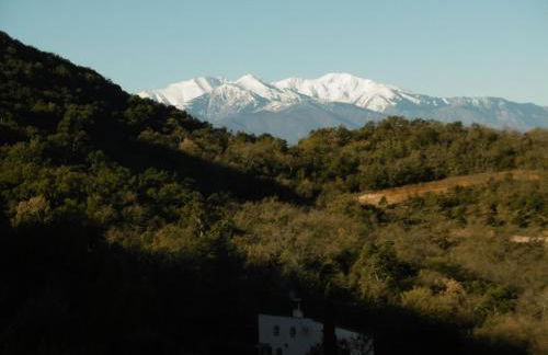 O Petit Bonheur - Photo 24