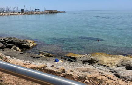 Sole a vista - Foto 21