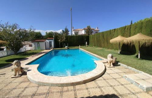 villa molinos - Photo 18