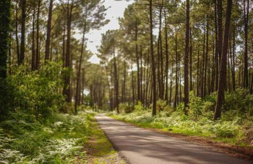 T3 duplex lumineux en centre-ville (plage à 10mn) - Foto 23