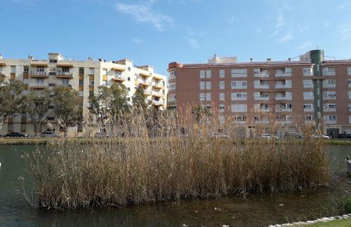 BONITAS VISTAS - Photo 40